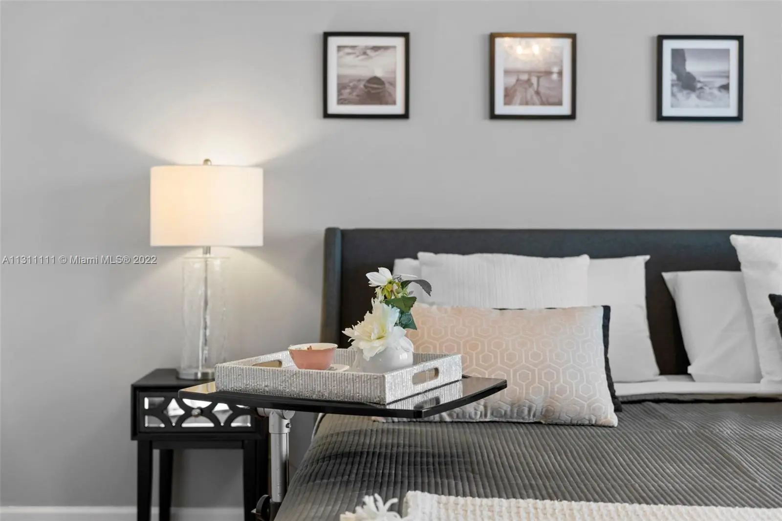 Photo of Listing #A11311111