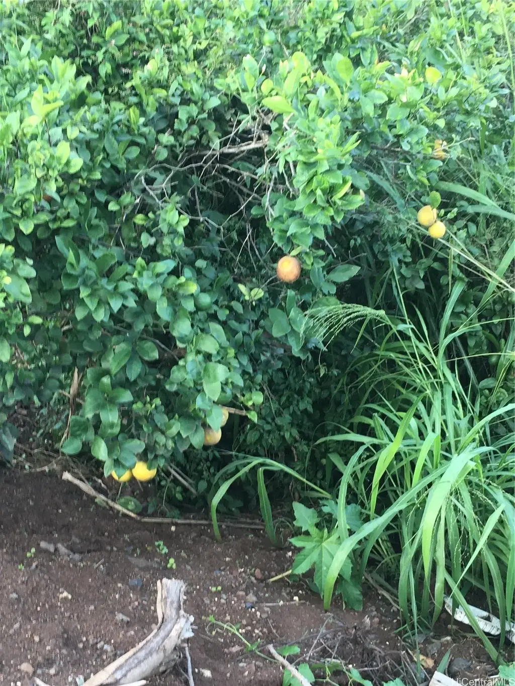 94-1100 Kunia Road # 56-i, Waipahu