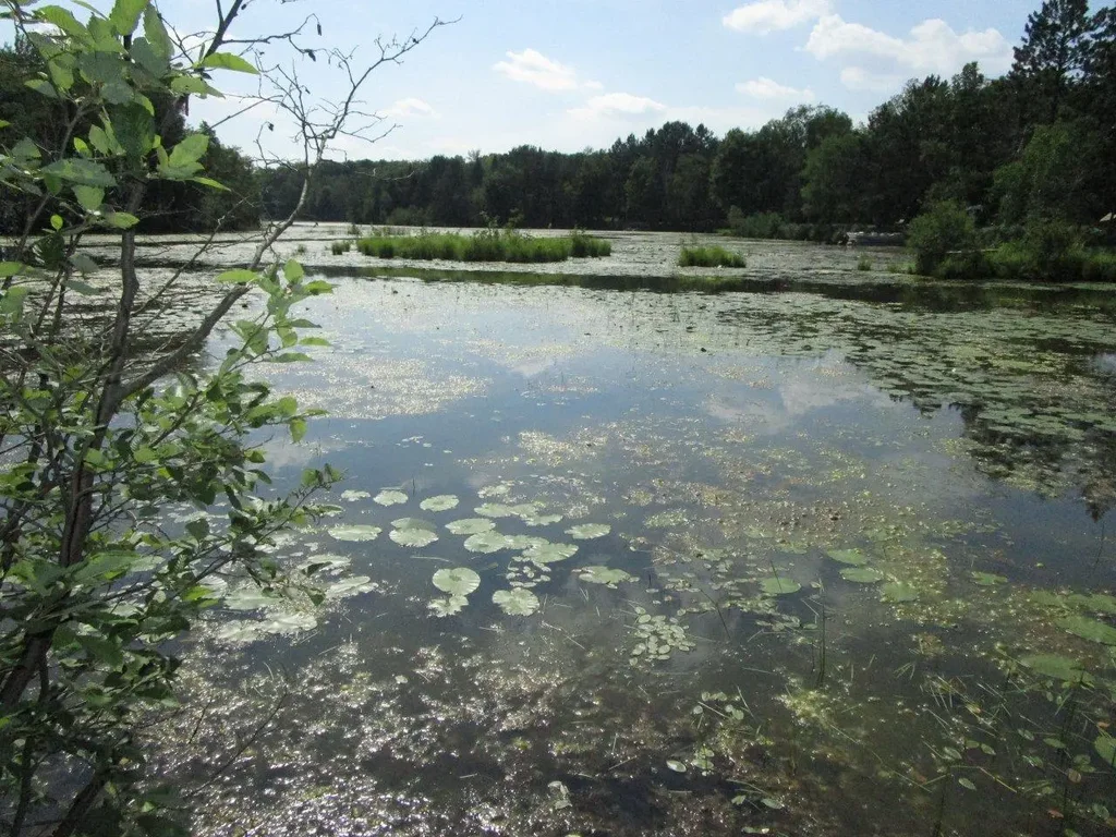 On Peninsula Dr, Phillips