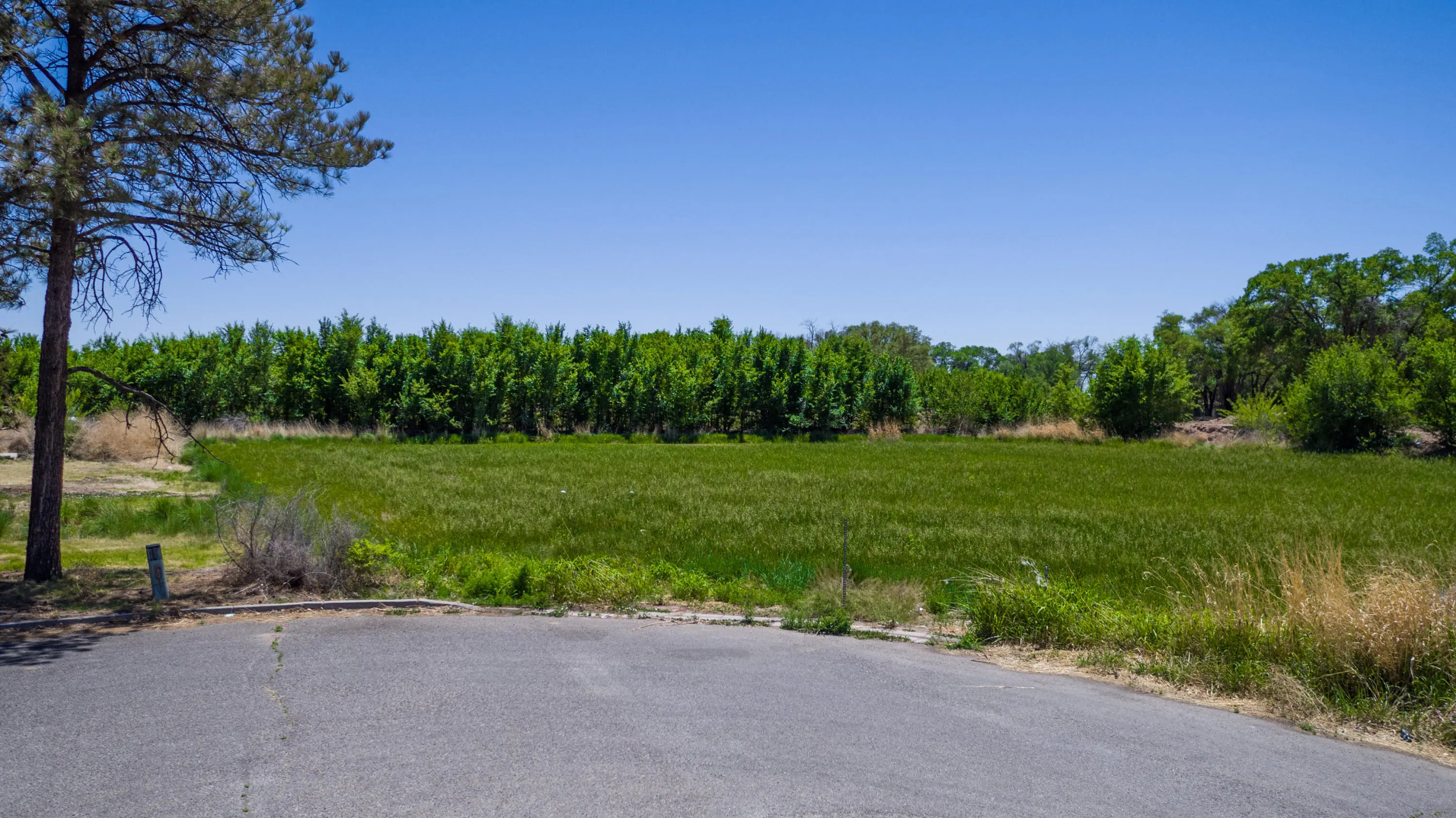 124 Nelson Court, Los Lunas