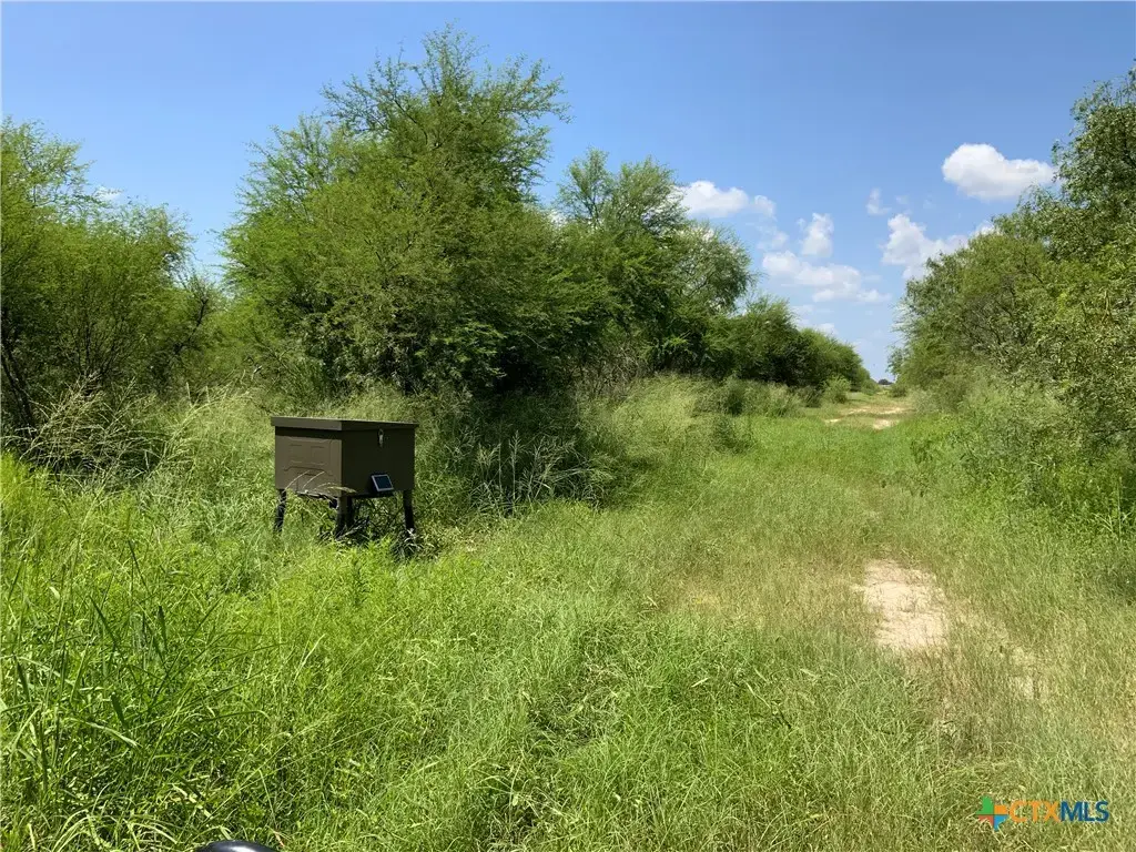 Tbd County Road 1144, Sinton