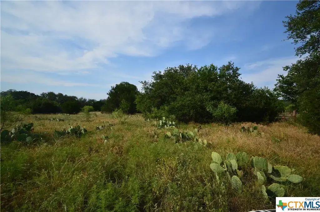 17426 Us Highway 183, Lometa