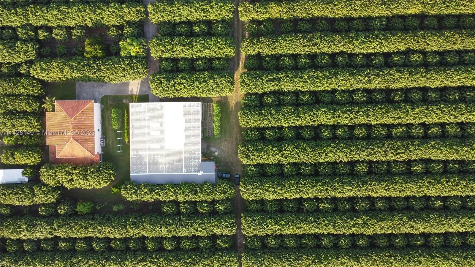 Photo of Listing #A11428149