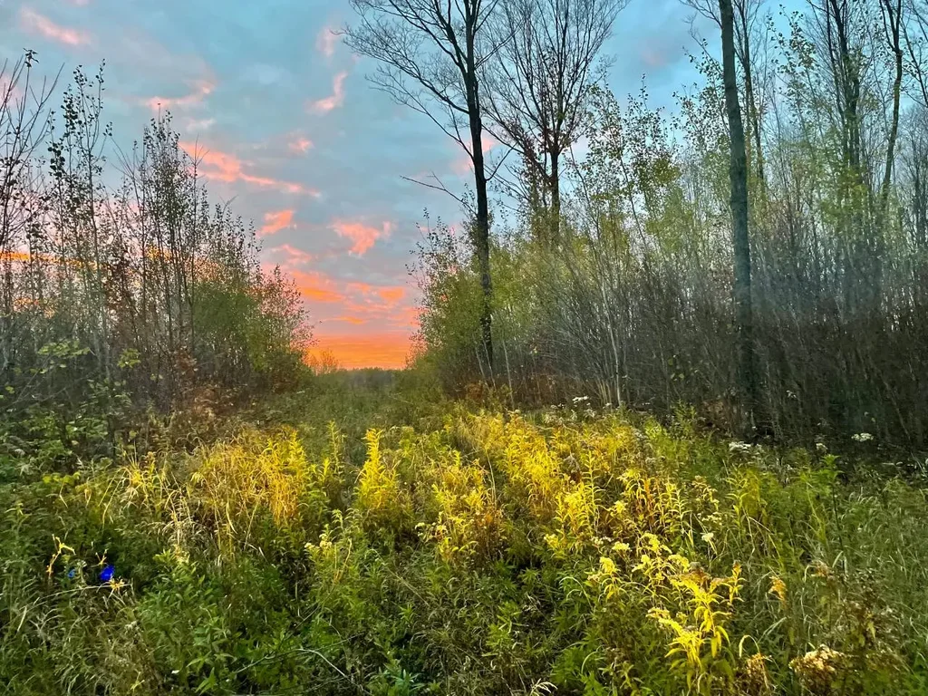 On Musser Dr, Phillips