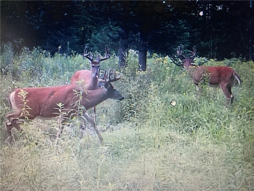 N3711 Cloverland Road, Ladysmith