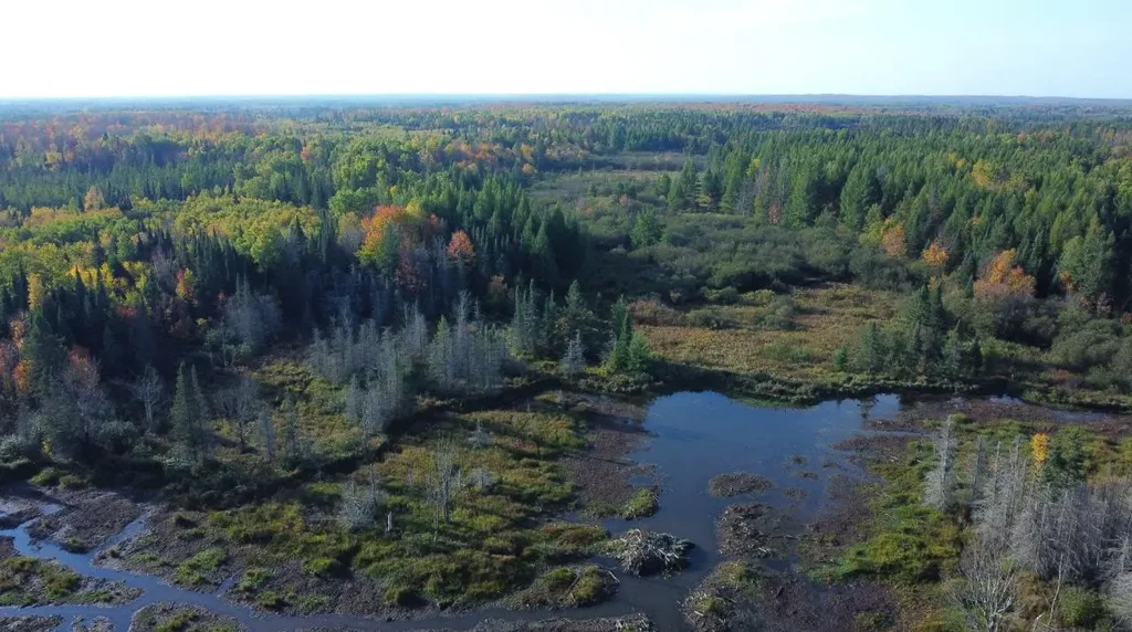 W2509 Trappers Rd, Phillips