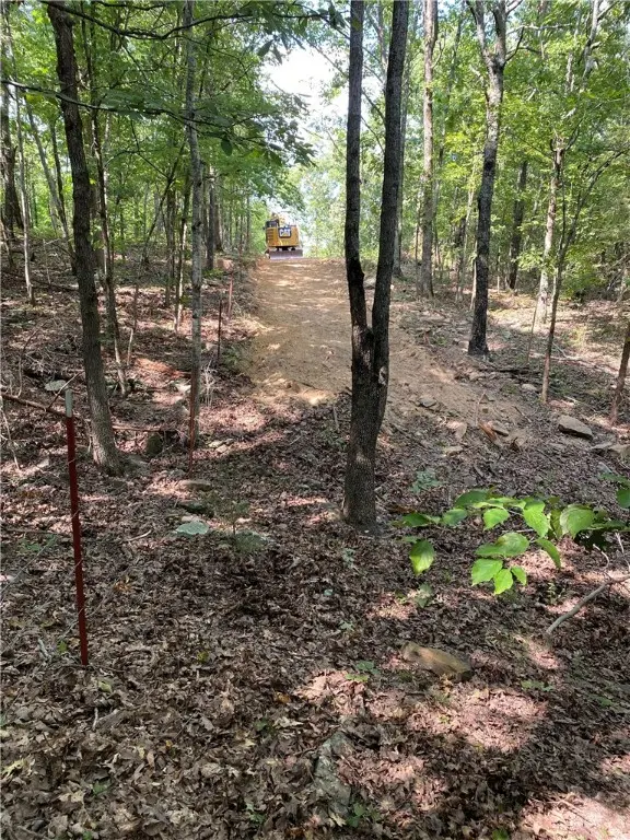 0000- Hwy 170 Devils Den W Hwy 170, West Fork