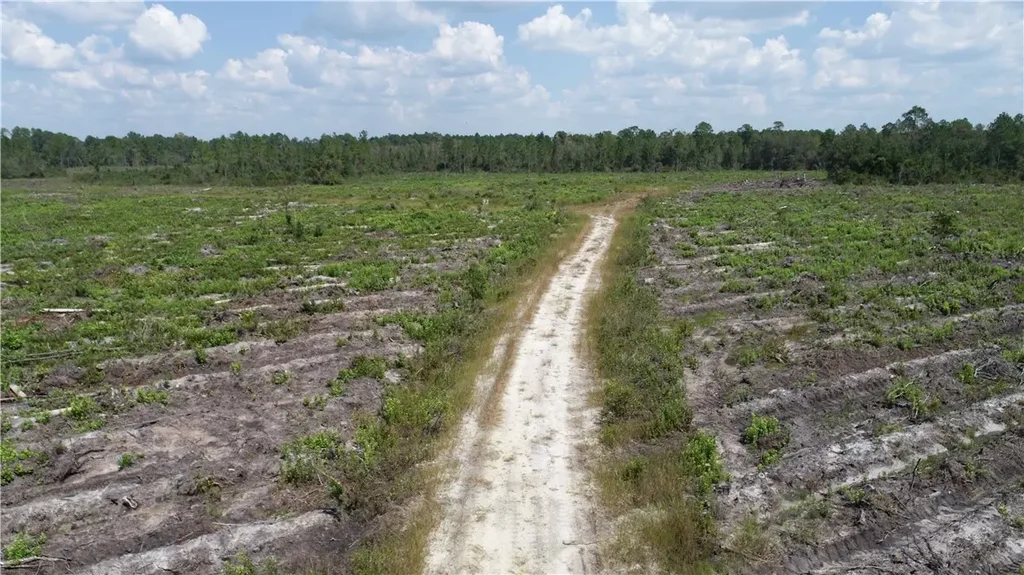 County Line Road, Other