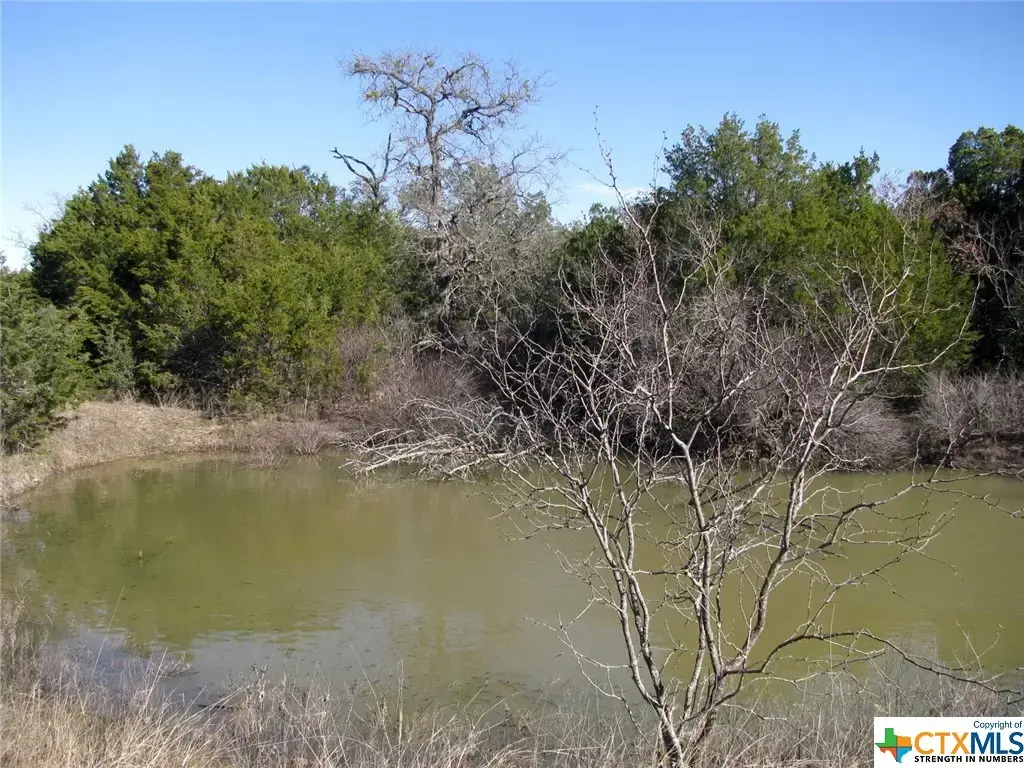 Lot 3 Ph 6 County Road 421, Evant