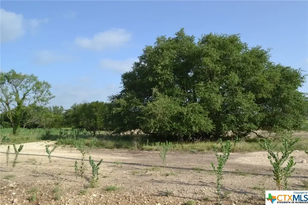 Block 2, Lot 1 And Lot 2 Cr 3152, Kempner
