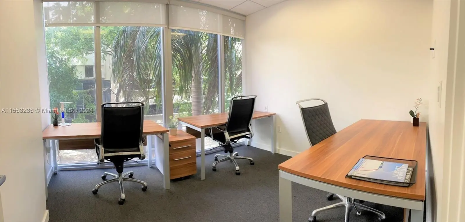 Photo of Listing #A11553236