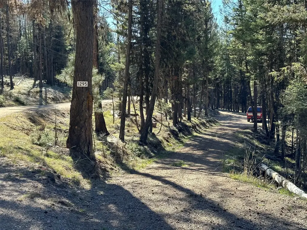 1295 Stage Coach Drive, Seeley Lake