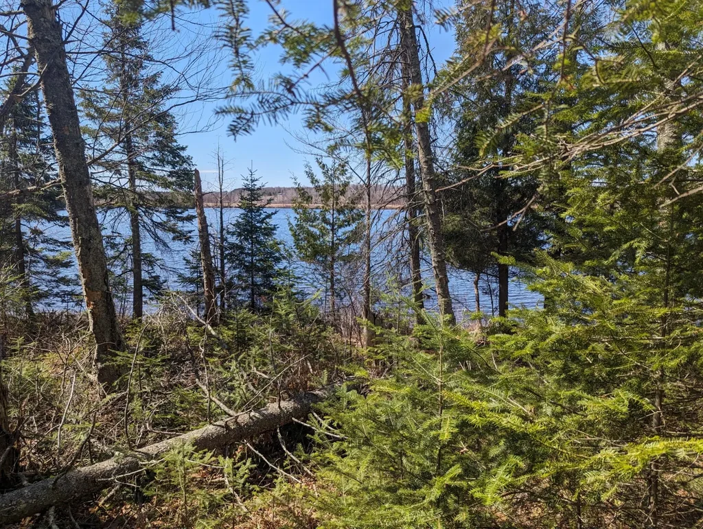 Lot 8 Sand Cove Pointe Rd, Park Falls