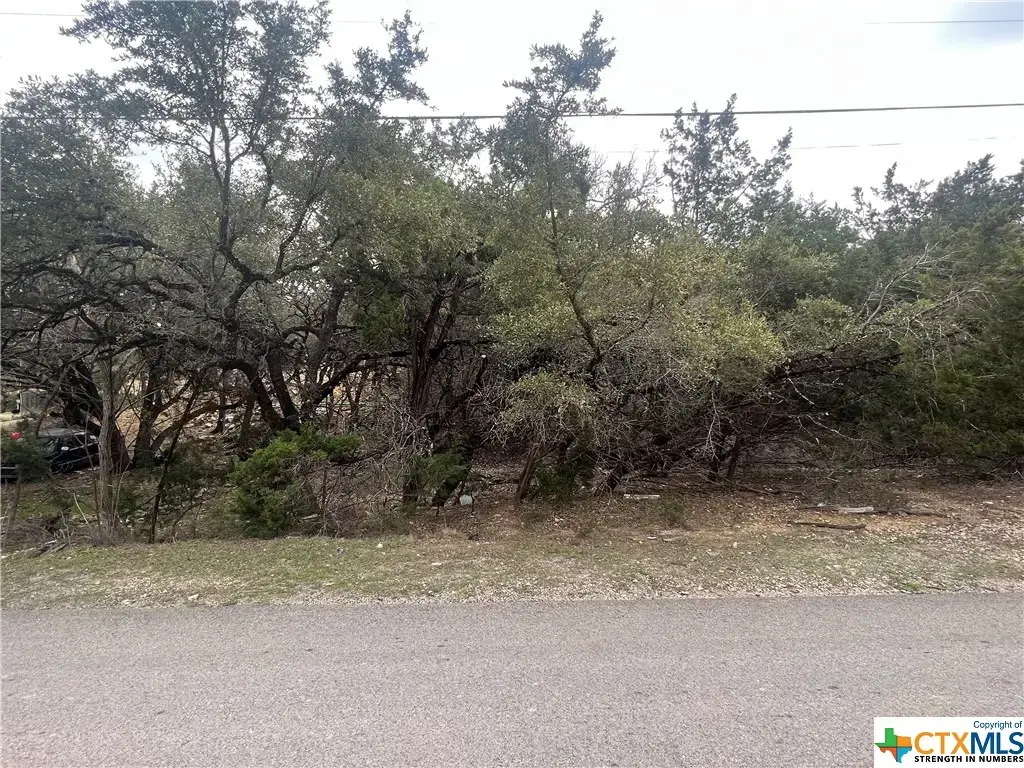 809 Scenic Run, Canyon Lake