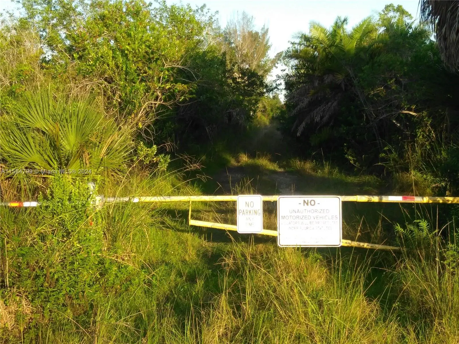 Photo of Listing #A11584799