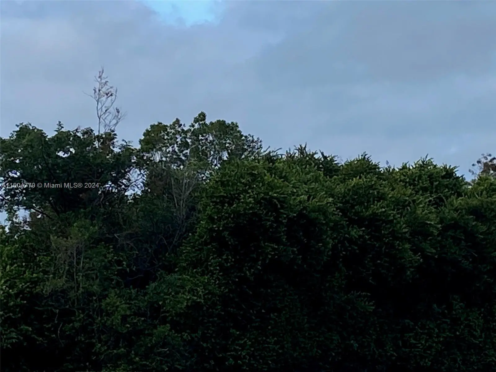 Photo of Listing #A11604770