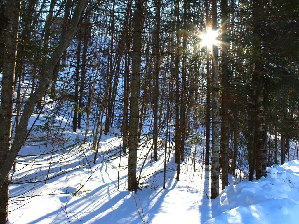 Outlot 1 Skye Dr, Upson