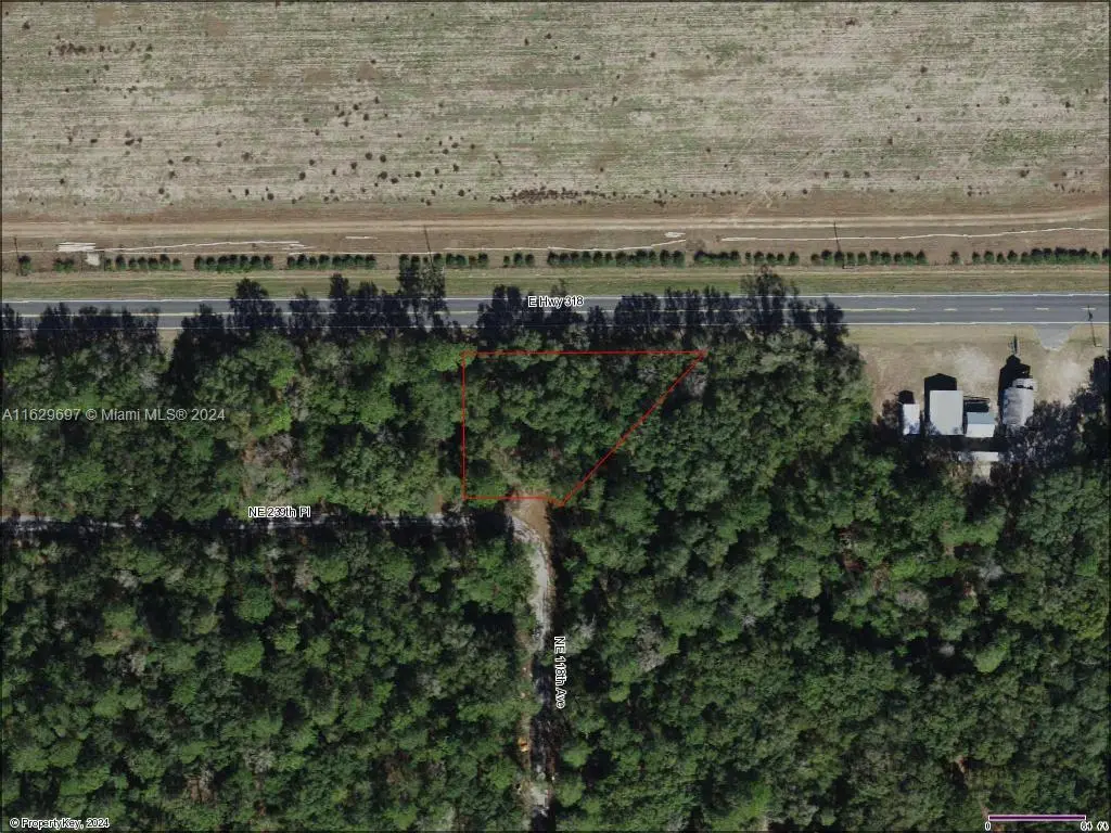 Photo of Listing #A11629697