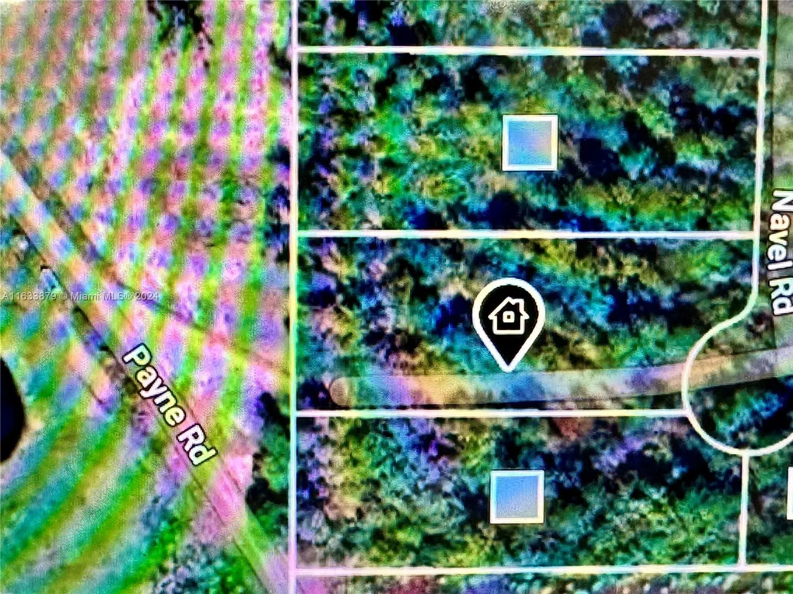 Photo of Listing #A11633879