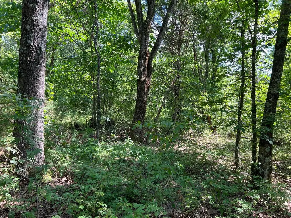 5.49 Acres On Meadow Creek Drive, Harrison