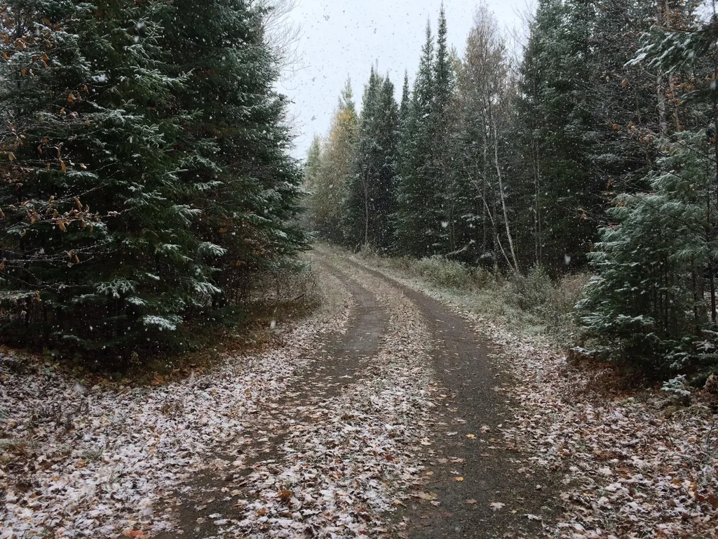 1426 Cth G, Rhinelander