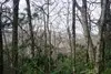 Tbd Summit Trail, Highlands