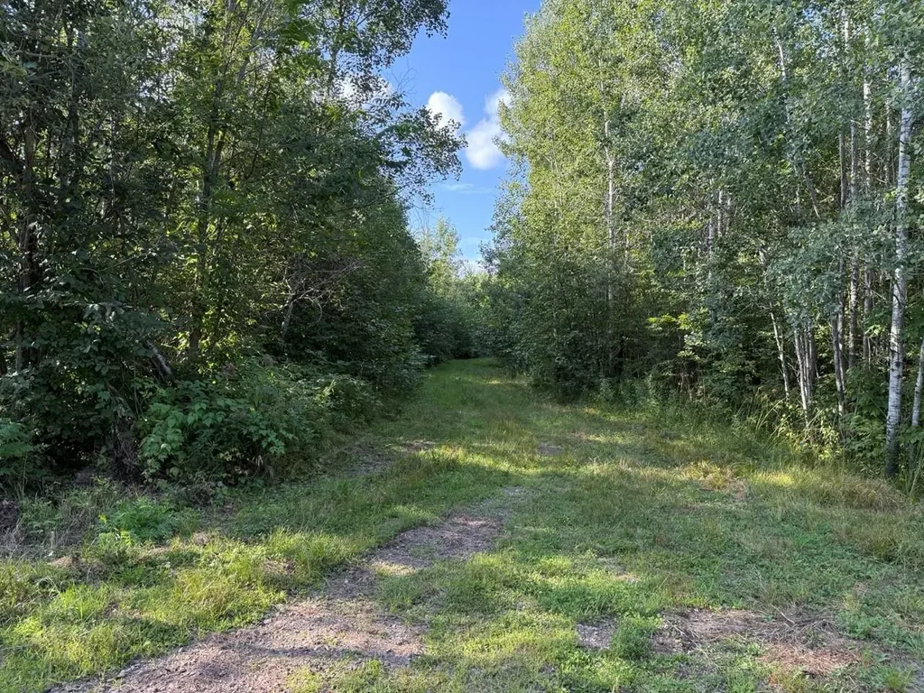 W11013 Burr Oak Rd, Kennan