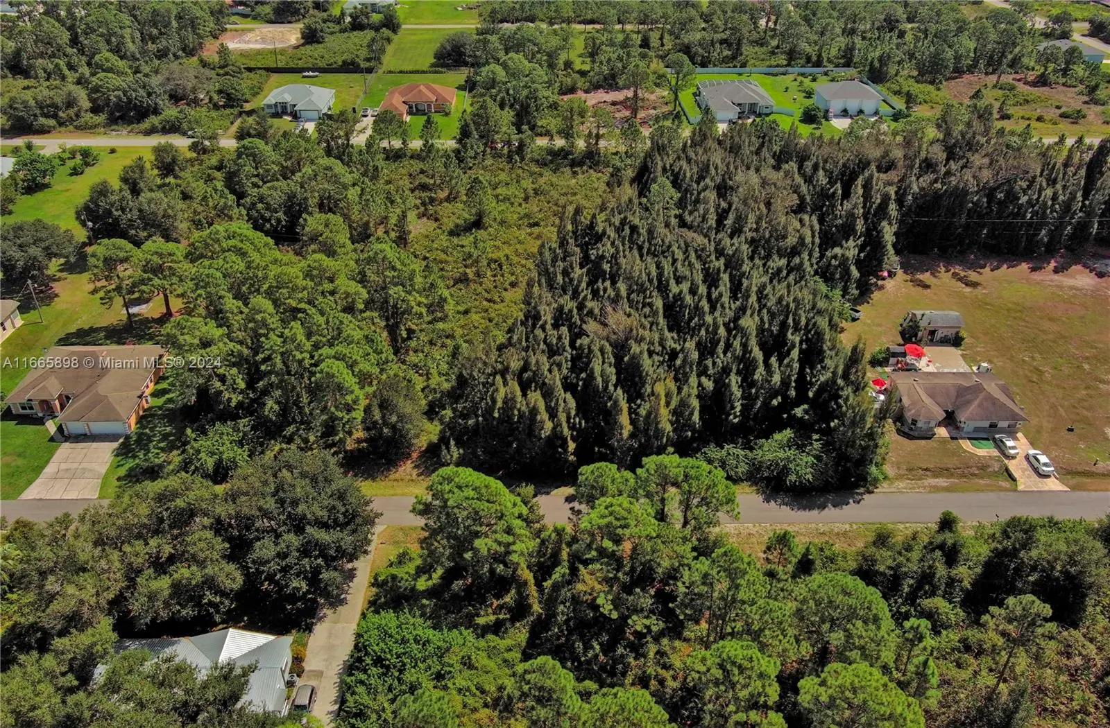 Photo of Listing #A11665898