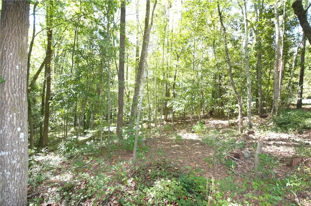 1406 Gwen Mill Dr, Opelika