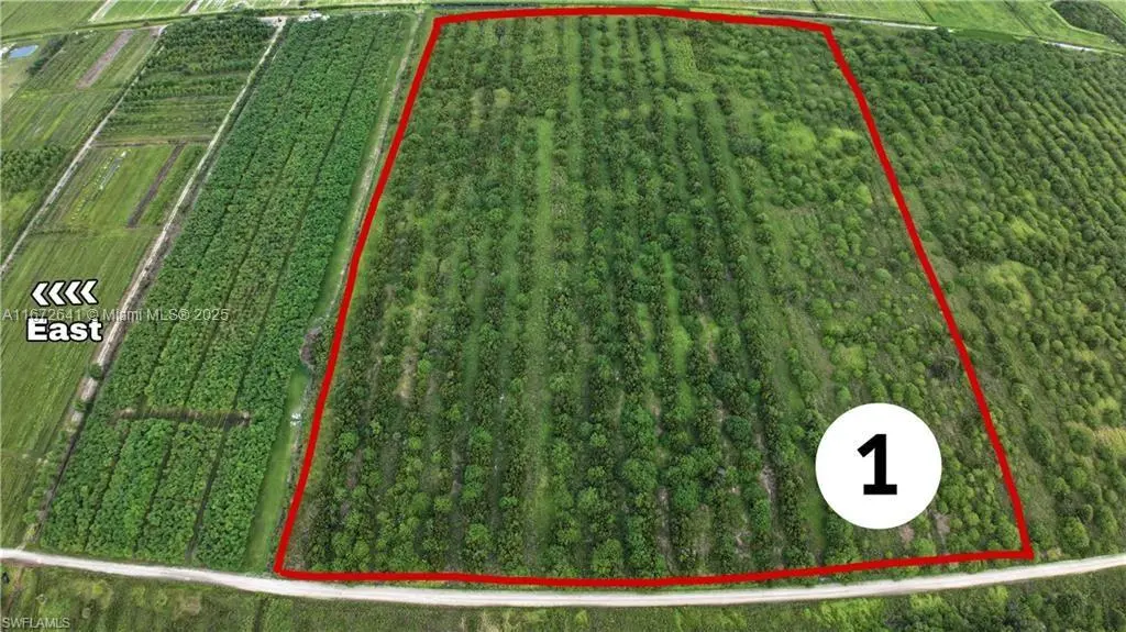 Photo of Listing #A11672641