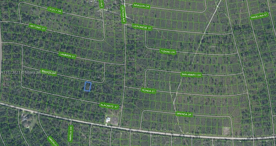 Photo of Listing #A11673771