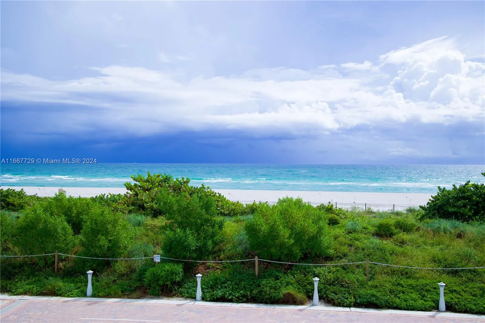 Photo of Listing #A11667729