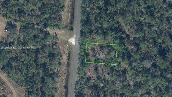 Photo of Listing #A11682247