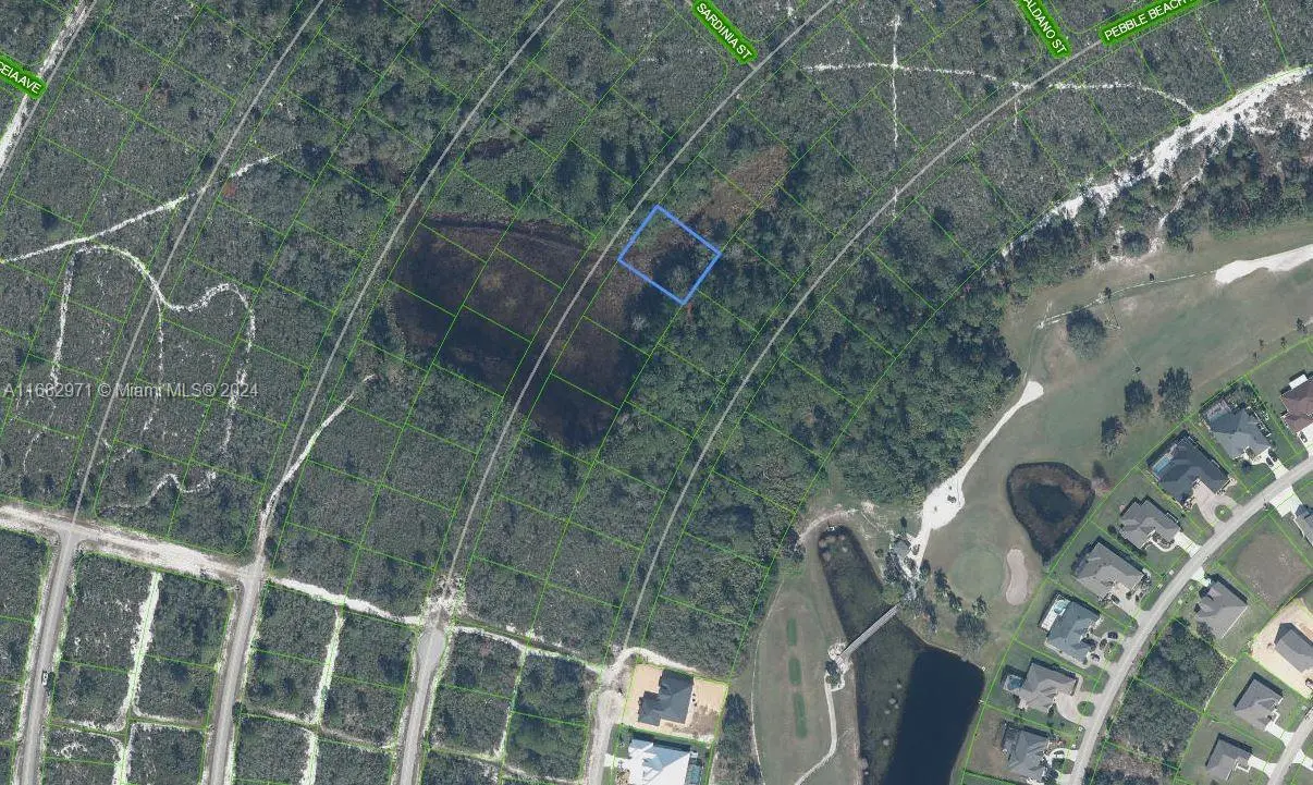 Photo of Listing #A11682971