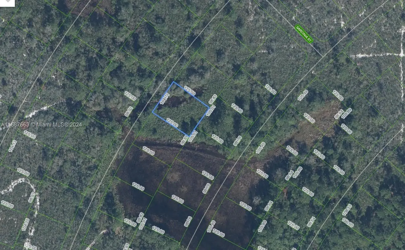 Photo of Listing #A11687663