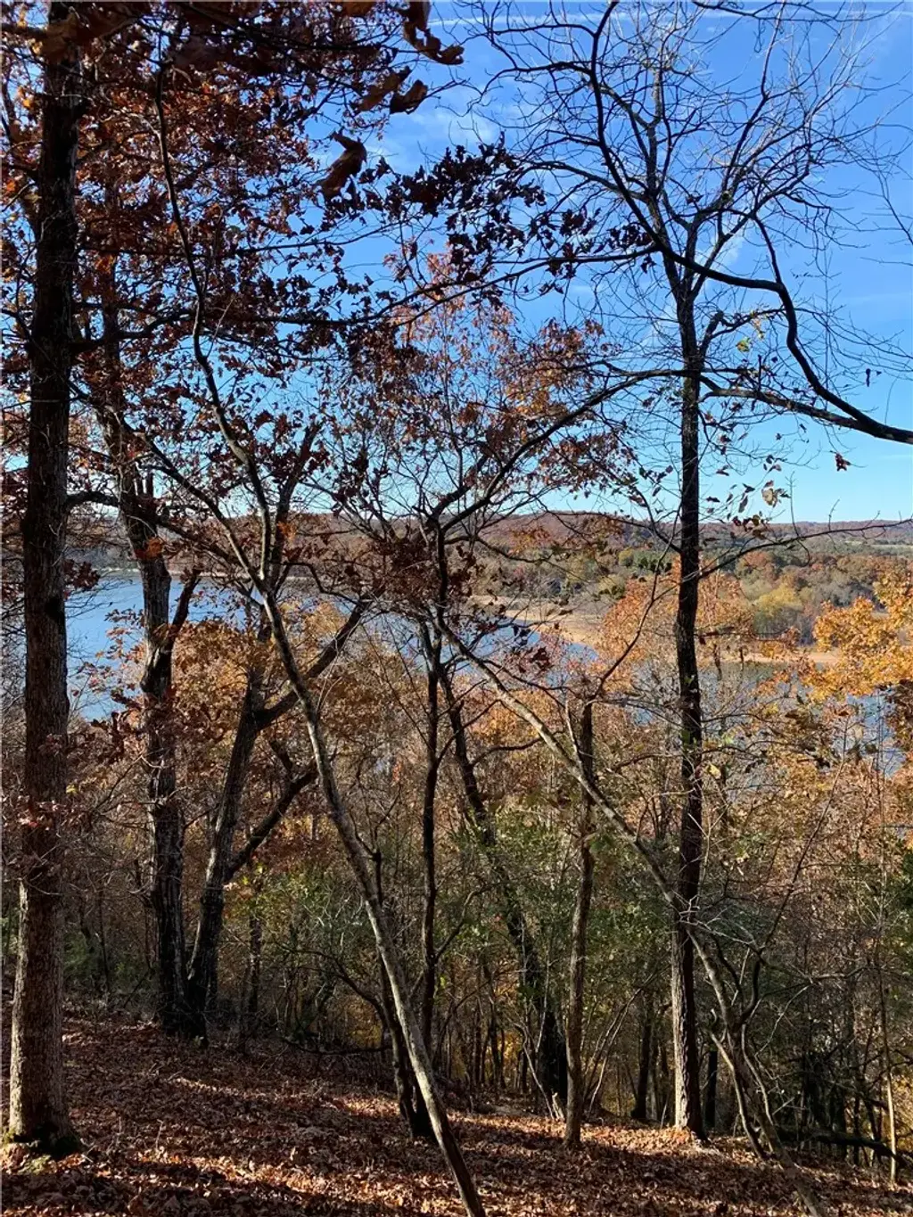 4.32 Ac Barzel Point Road, Rogers