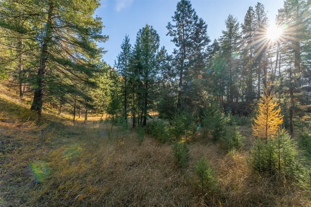 156 Peters Creek Way, Kalispell
