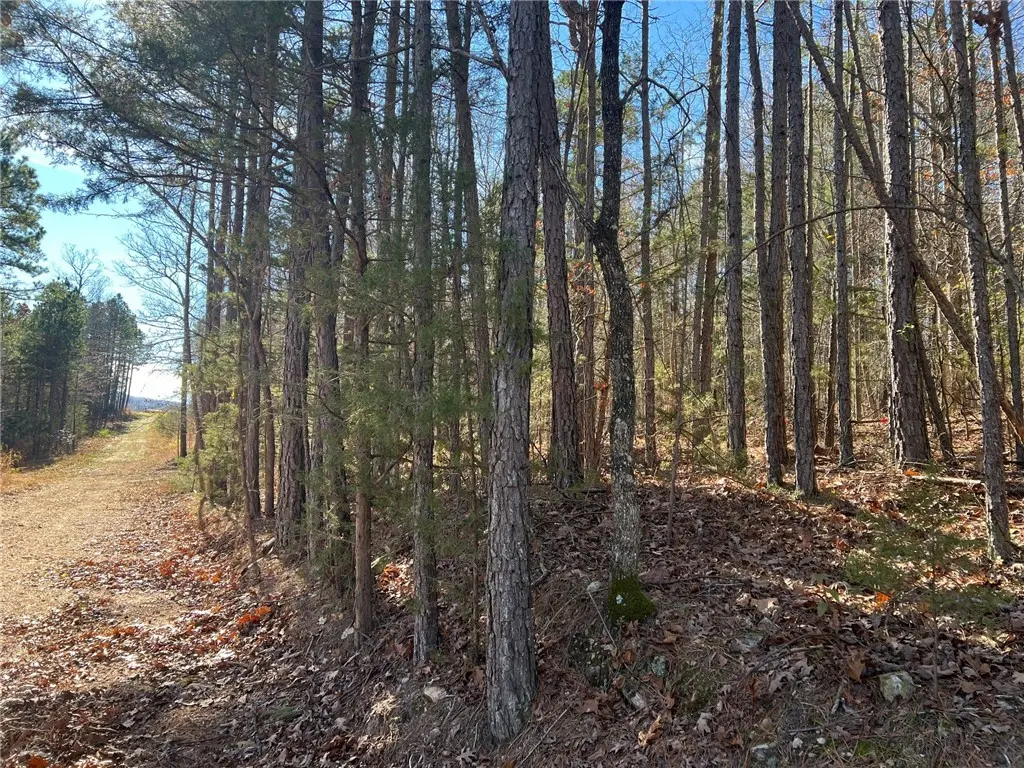 Lot 1 Tbd Nc 3015, Jasper