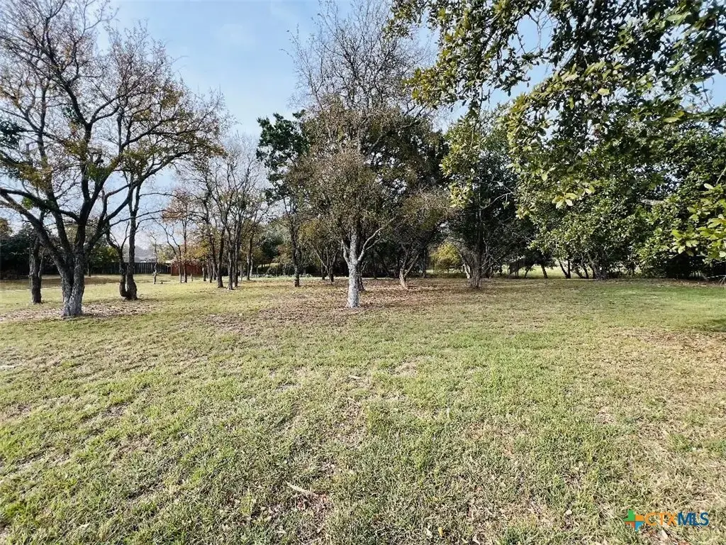 2009 Chalk Mill Crossing, Salado