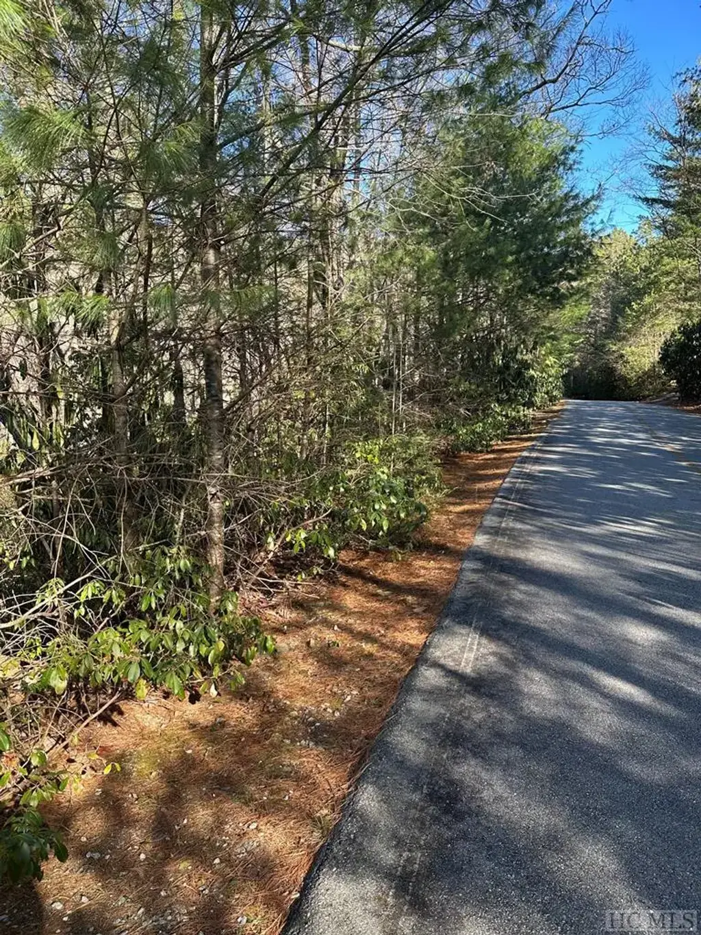 Lot 137 N Buckberry Drive, Sapphire