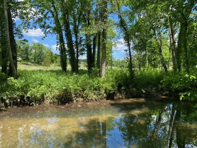 Cullen Hills Drive, Bella Vista