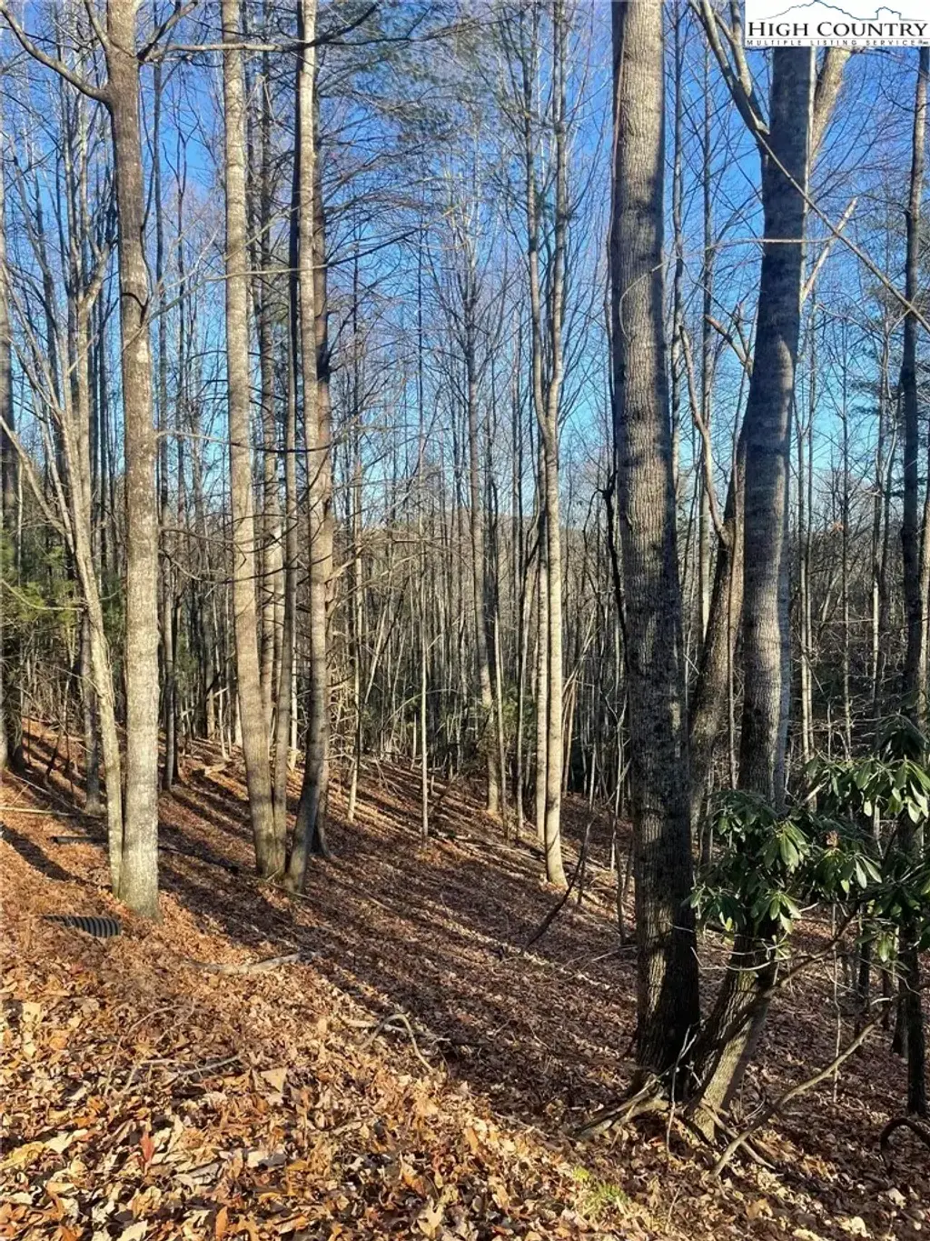 306 Marshalls Way, Jefferson