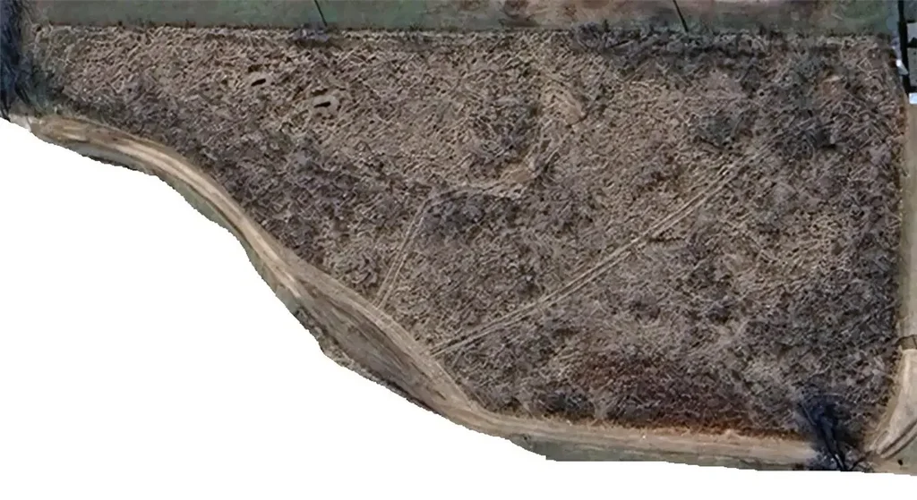 13572 Highway 59, Summers