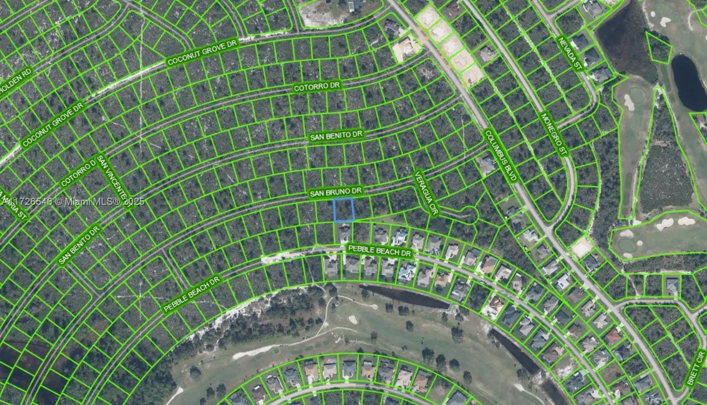 Photo of Listing #A11726546