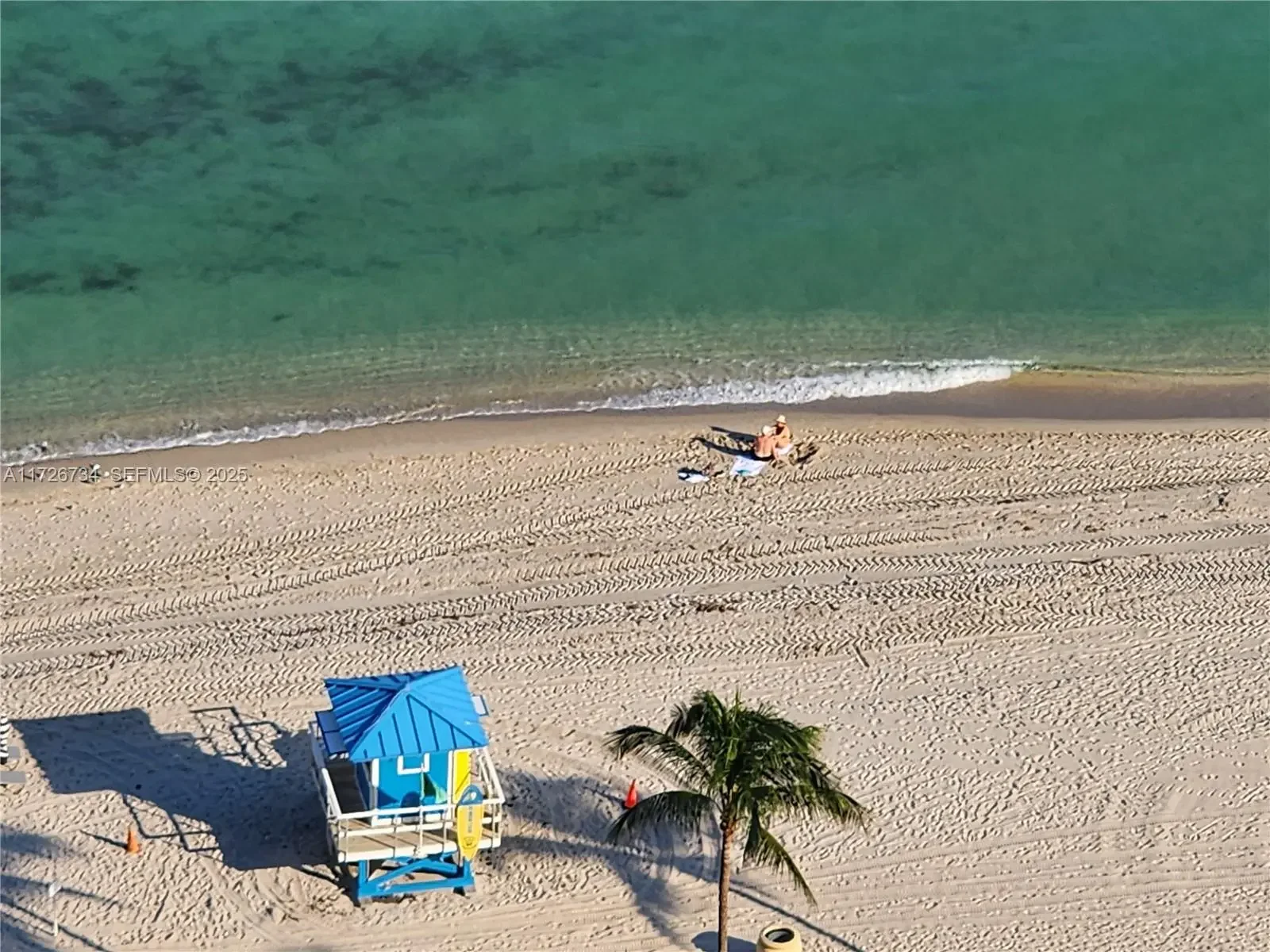 Photo of Listing #A11726734