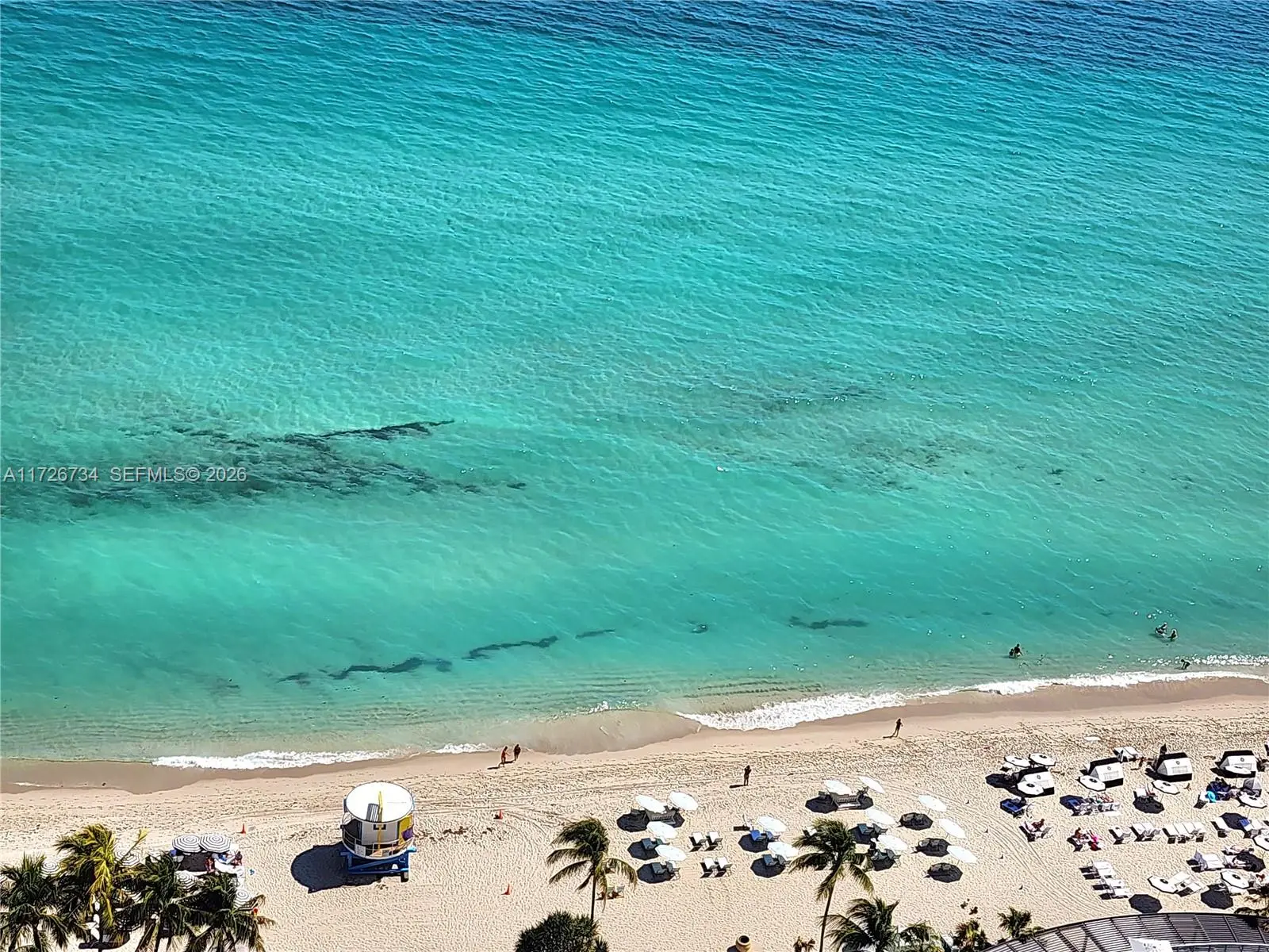 Photo of Listing #A11726734