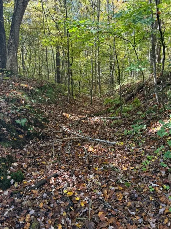 Tbd Highway 8, Turtle Lake