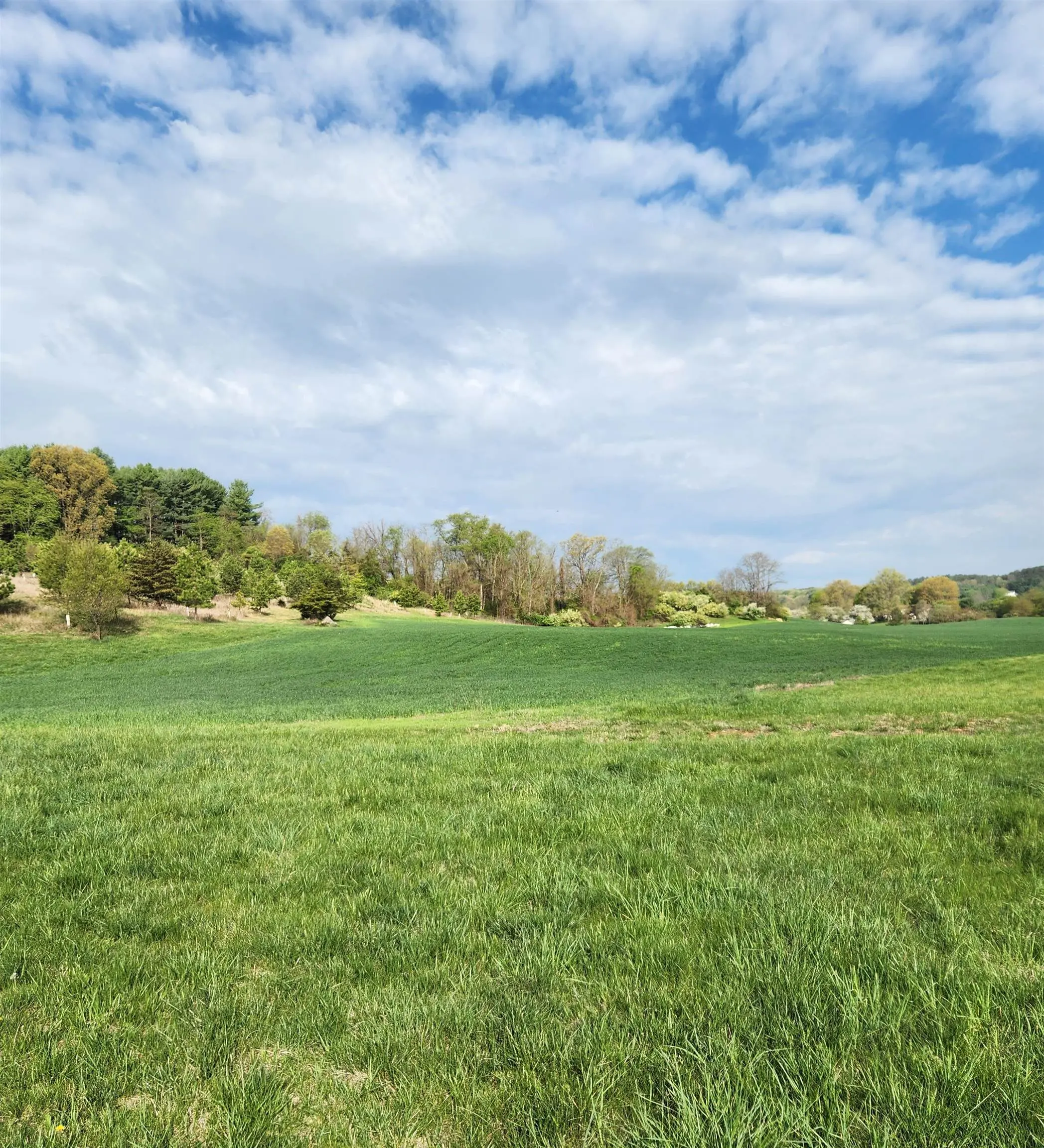 104 Carrsbrook Dr, Staunton Property Listing: MLS® #660535