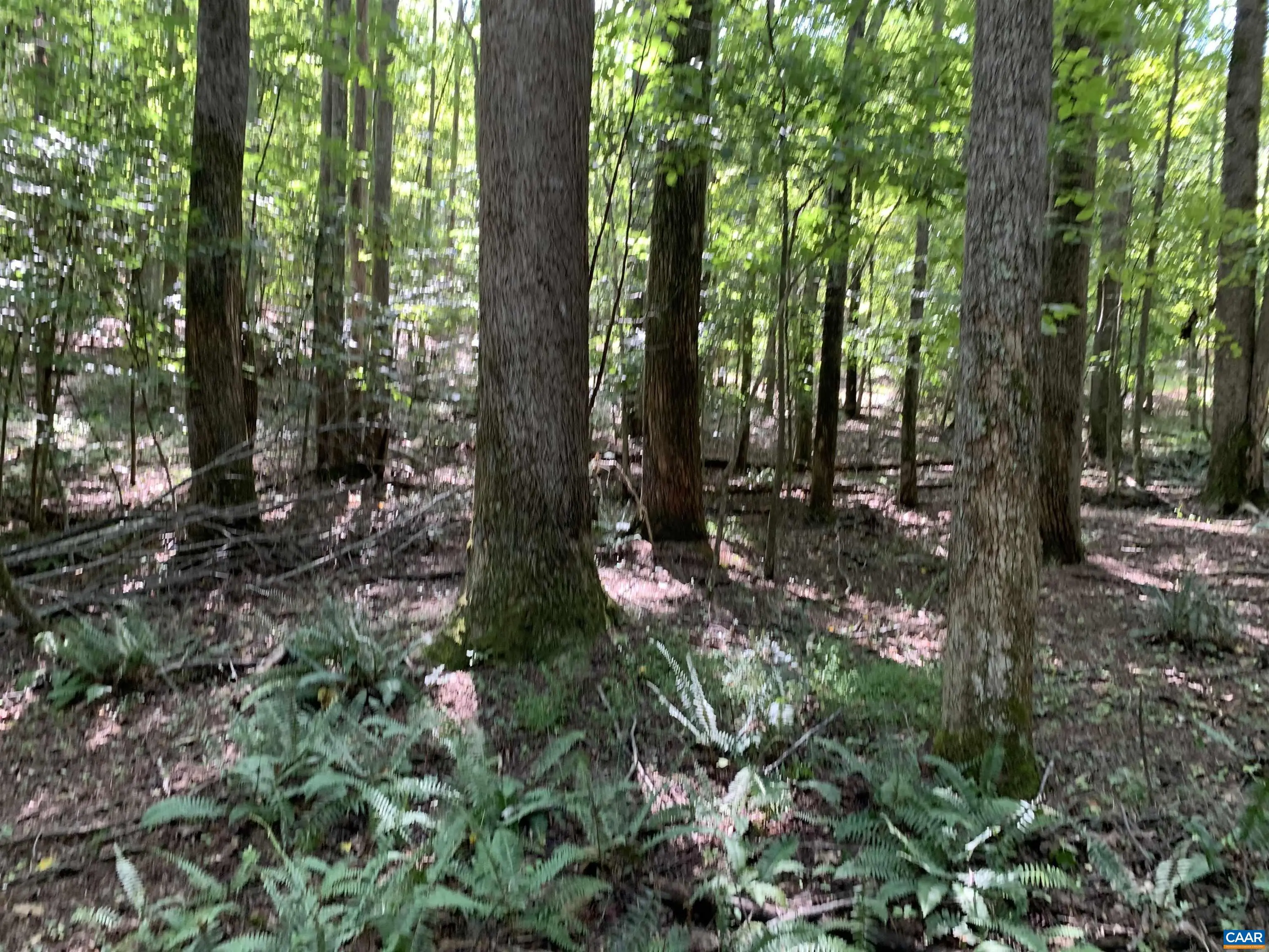 Lot1 Green Creek Rd, Schuyler