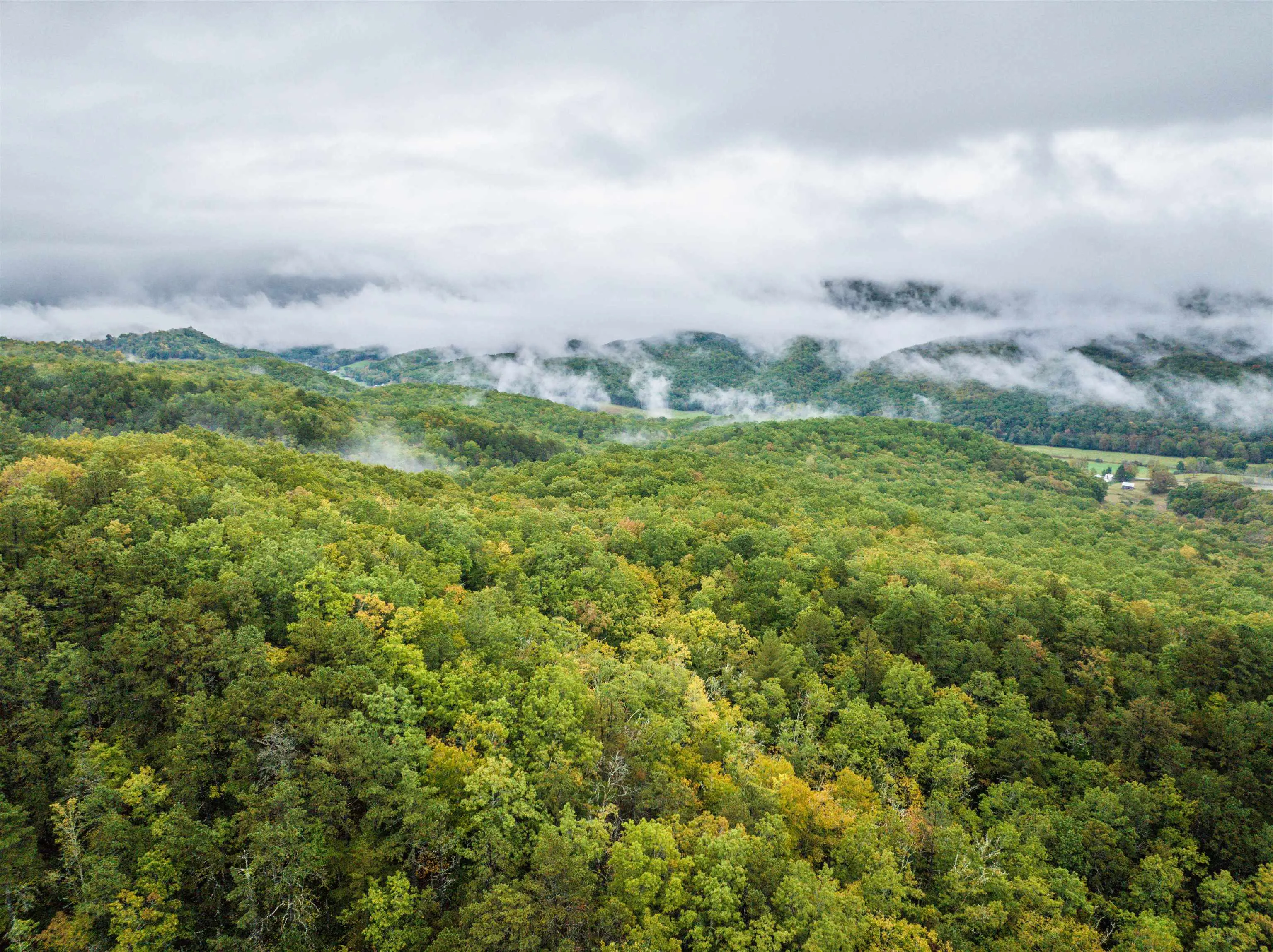 Tbd Whippoorwill Ln, Monterey